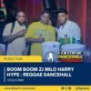Dj boom boom harry milo hard