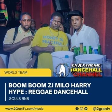 Dj boom boom harry milo hard