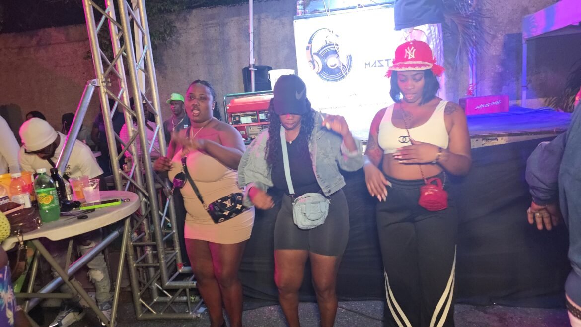 Feel the Beat with a Live Dance DJ Show