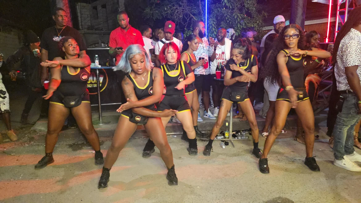 Feel the Beat with a Live Dance DJ Show